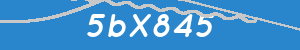 Introduïu el text que apareix a la imatge